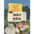 주막거리 | [맛집]🚂에코랜드 10분 거리! 가족여행 아침식사 가능한 조천맛집 &#34;면주막&#34;솔직 후기
