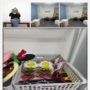 바라봄 | 증명사진 추천! 연남동 바라봄 셀프사진관 솔직 후기