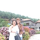 아름다운관광농원화수목 이미지