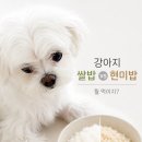 미음펫푸드 네이버블로그