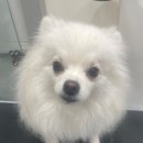 은계동물병원 이미지