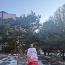 소사벌레포츠타운-우 | 평택 평화의 소녀상 위치 소사벌레포츠타운 방문 후기 (잊지 않기 위해 다녀왔습니다)