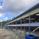 신용 흑염소농장 이미지