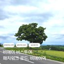 세븐스타 | 비에이 패치워크 로드 후기｜세븐스타나무보다 오래 기억에 남은 풍경