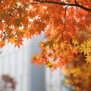 생활중국어 이미지