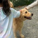 용인황토펜션 네이버블로그