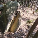 장산토성 이미지