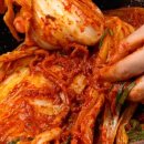쉽게 따라하는 밑반찬&김치만들기 | 김장김치 20kg 양념 비율