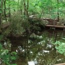 목통마을 내 이미지