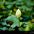 백현 농장 이미지