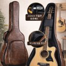 기타 | 연습·공연 필수템, 프리미엄 가죽 기타 가방 후기