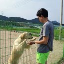 도그야 놀자 이미지