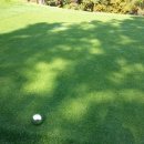 웰링턴컨트리클럽 이미지