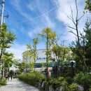 원독 | 250903 ✱ &lt;신인감독 김연경&gt; 원더독스 vs 흥국생명 직관 후기