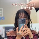 수야염색