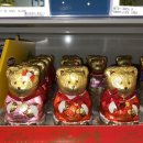 미래어뮤즈먼트 | Octobre ④, 2023 (feat.더비블로그) /온무빙 택배 받기 / 방충망 붙이기 / 여권수령