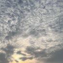 커피베이 청북드림산단점 이미지