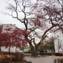 주공아파트 이미지