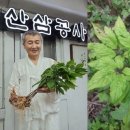 주)한국산삼공사