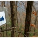 말골농장 이미지