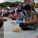 오는 14일부터 이틀간 보랏빛 도라지축제 팡파르 이미지