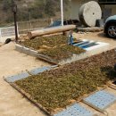 고운 농장 이미지