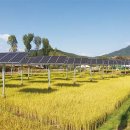 길에너지 태양광발전소 이미지