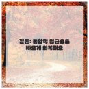 플러스정형외과의원