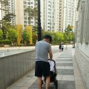세븐일레븐송파거여점 | 잠실 산책~ 토마틸로의 점심 그리고 라면세개