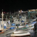 21호재진이네 이미지