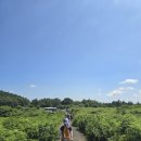 설레임용암 | [공지] 10월 제주 가을여행 2024세계유산축전'제주 화산섬과 용암동굴' 팸투어후기