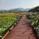 지리산호수공원 이미지