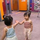 그늘막120 | 경기도 두리랜드 쌍둥이 아이 25개월 90cm이상 놀이동산 가볼만할까? 내돈내산후기