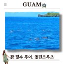 하나베스트투어 | 돌핀크루즈 괌여행 필수. 하나투어 현지투어 후기 이벤트까지 참여!