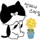 홀스마스터즈 승마클럽 이미지