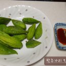 요거 이미지