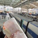 호시탐탐 꼬마김밥 | 2025년 5월