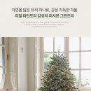 그린피시