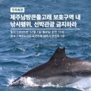 [공동 기자회견] 제주남방큰돌고래 보호구역 내 낚시행위, 선박관광 금지하라 이미지