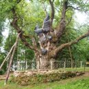 무제2007 이미지