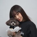 시즌스튜디오 네이버블로그