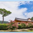 육신사(신) 이미지