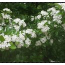 한도병원 교차로 이미지