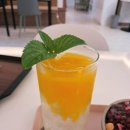 카페팥쥐와콩쥐
