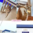 한국지엠한국지정서비스 이미지