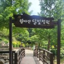 꽃과 노닐다 이미지