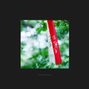 바우길 10구간 이미지