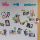 캣독카페 이미지