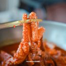 이미견 밥엔 낙지볶음 이미지