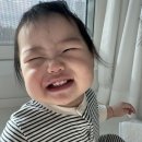 내가2 | [내가 돌준맘이라니..] 2. 아기 돌사진 1017 스튜디오 후기